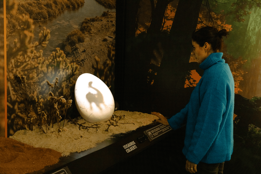 Dino Experience zone 4