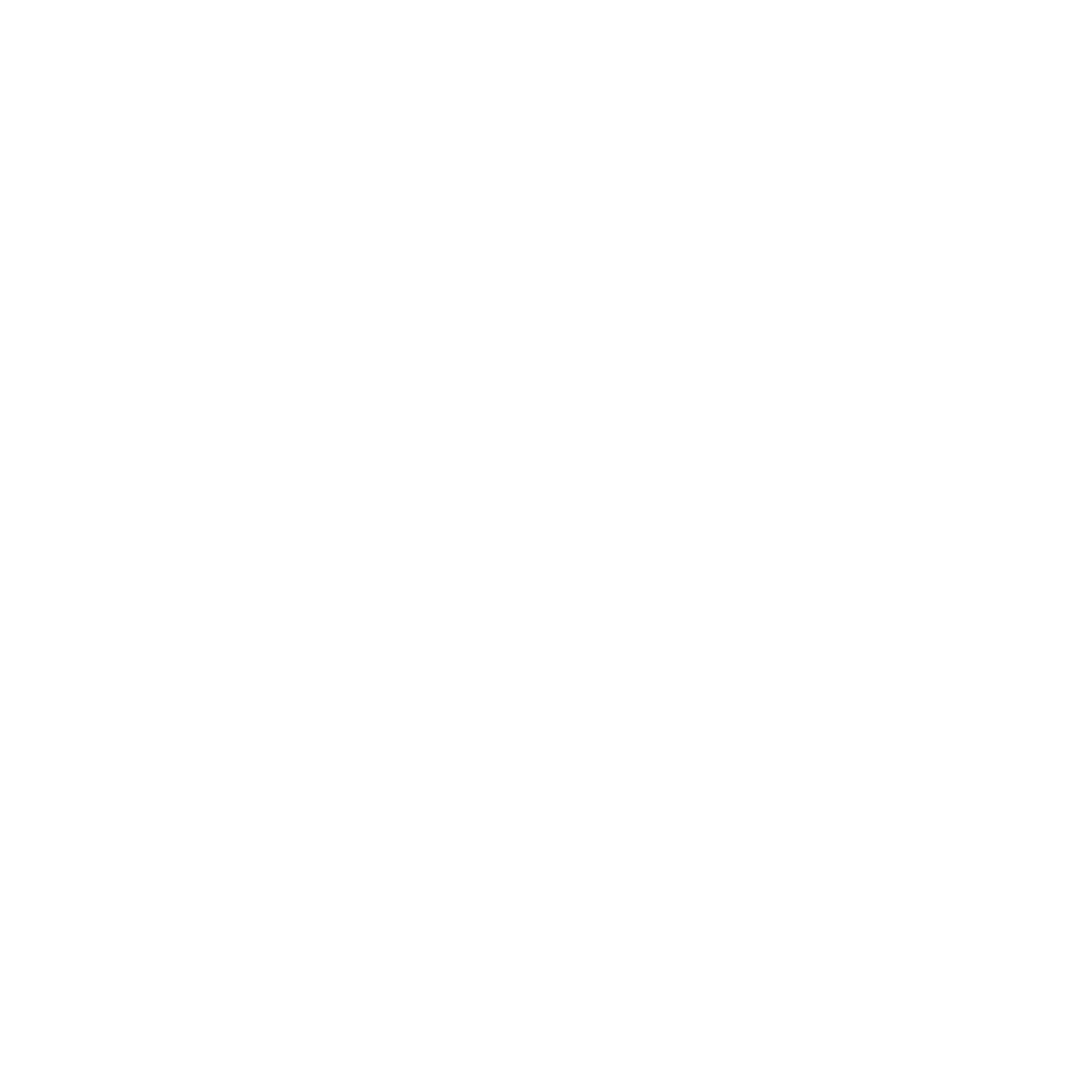 Dino Experience