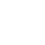 Dino Experience